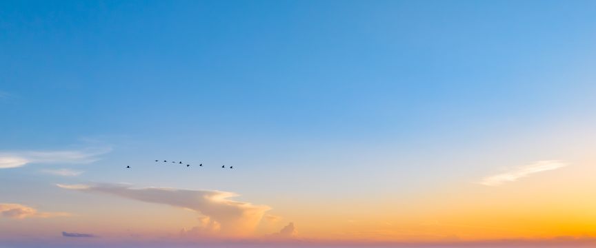 Pop Of Gold Sunrise sky #7 — real panoramic sky for replacement